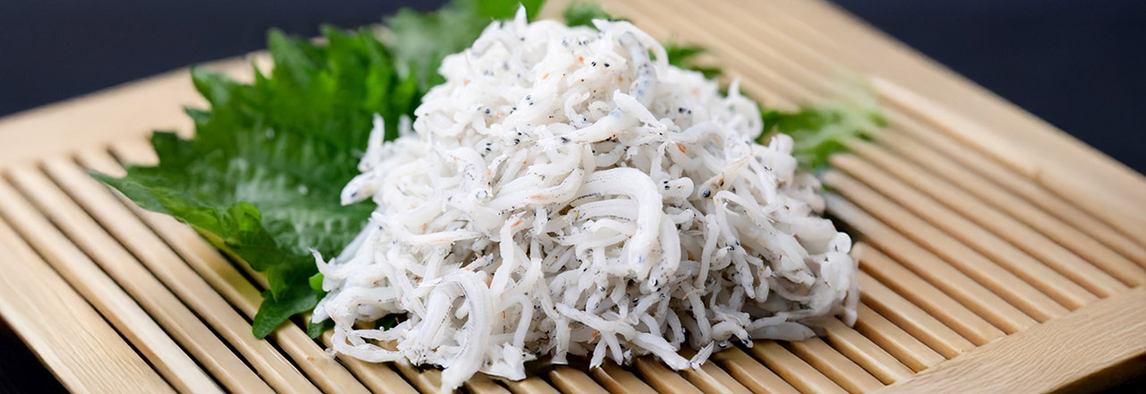 しらす問屋ヨシマル