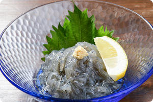 しらす問屋ヨシマル